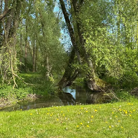 Gasthuis Sillage Machiel